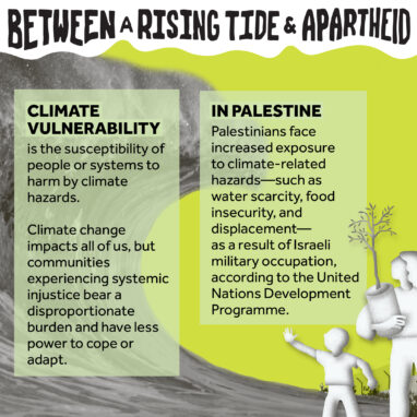 Between a Rising Tide and Apartheid