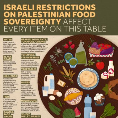 Palestinian Food Sovereignty