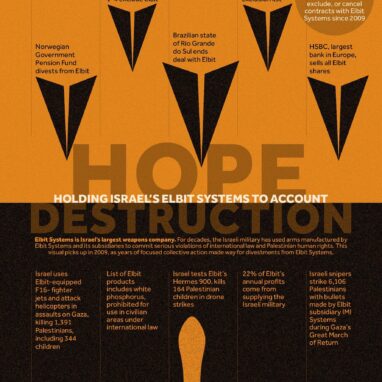 Hope / Destruction: Holding Israel's Elbit Systems to Account