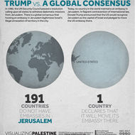Trump vs A Global Consensus