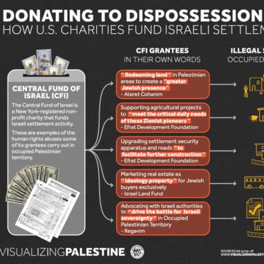 Donating to Dispossession 
