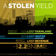A Stolen Yield: The Cost of Israeli Restrictions on Palestinian Farming