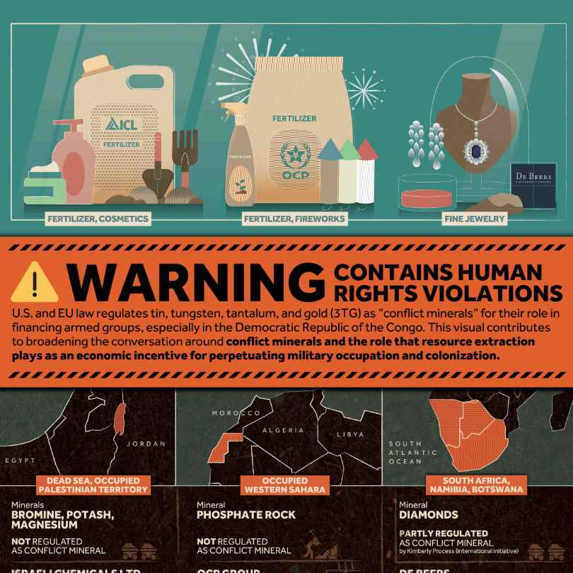 warning-contains-human-rights-violations-visualizing-palestine