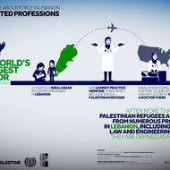 Palestinian Labour Force in Lebanon - Restricted Professions 