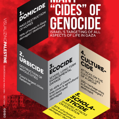 Many "Cides"of Genocide