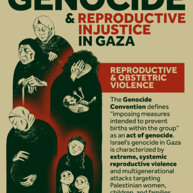 Genocide & Reproductive Injustice in Gaza 