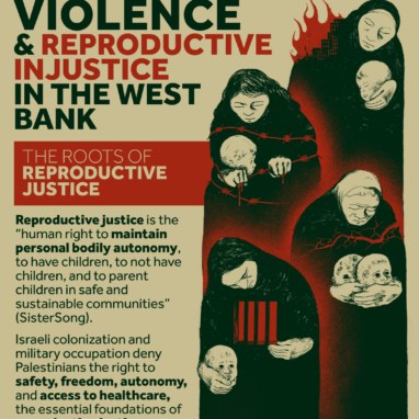 Colonial Violence & Reproductive Injustice in the West Bank