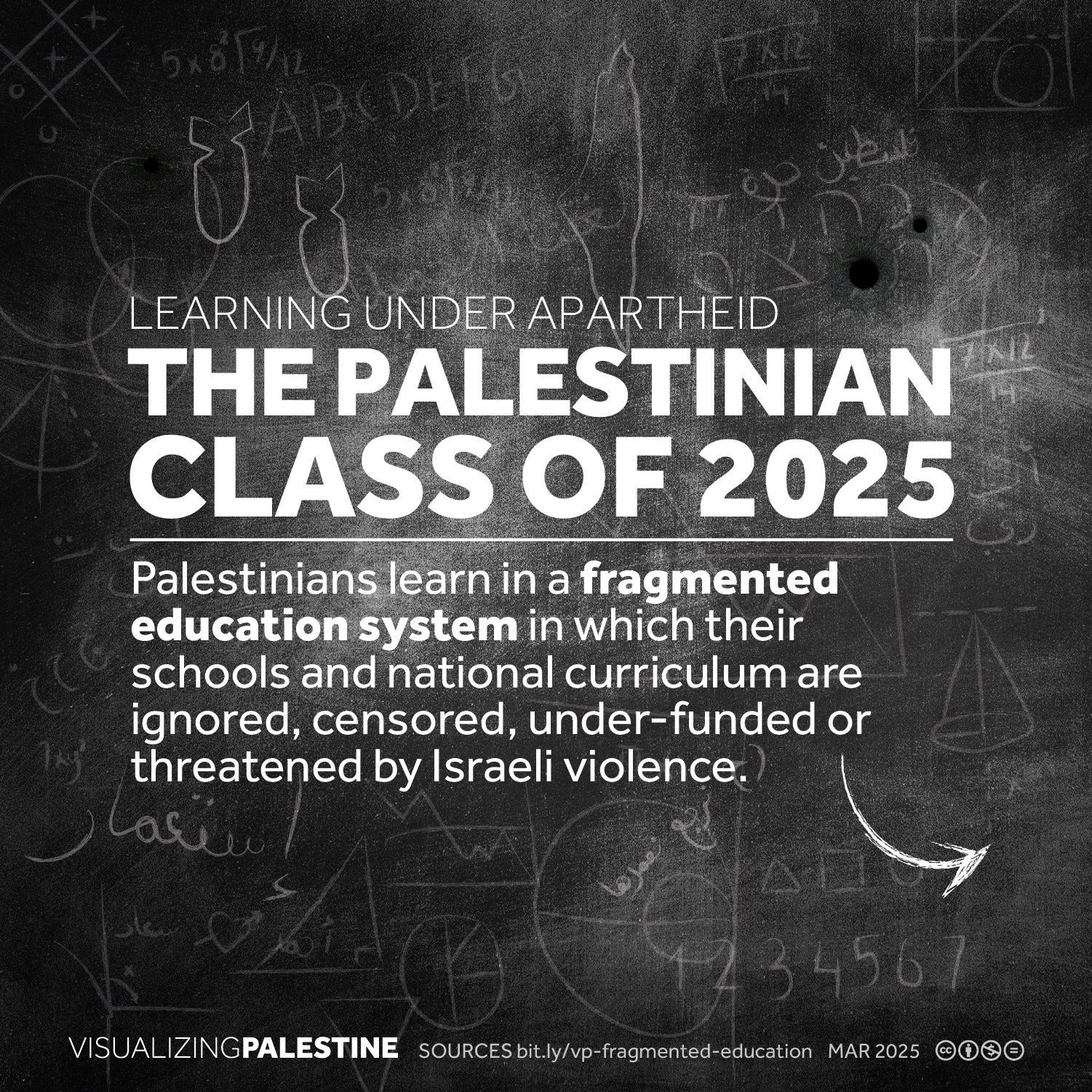 Learning Under Apartheid: The Palestinian Class of 2025 - Visualizing ...