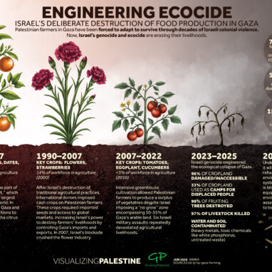 Engineering Ecocide in Gaza